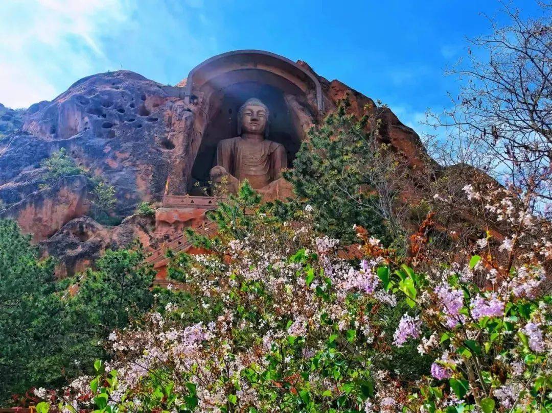 宁夏"一秒入夏",想去固原这几个天然氧吧,舒适惬意地待着