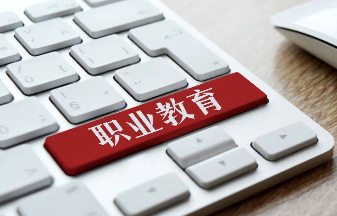 2024年现代职业教育质量提升计划资金预算下达