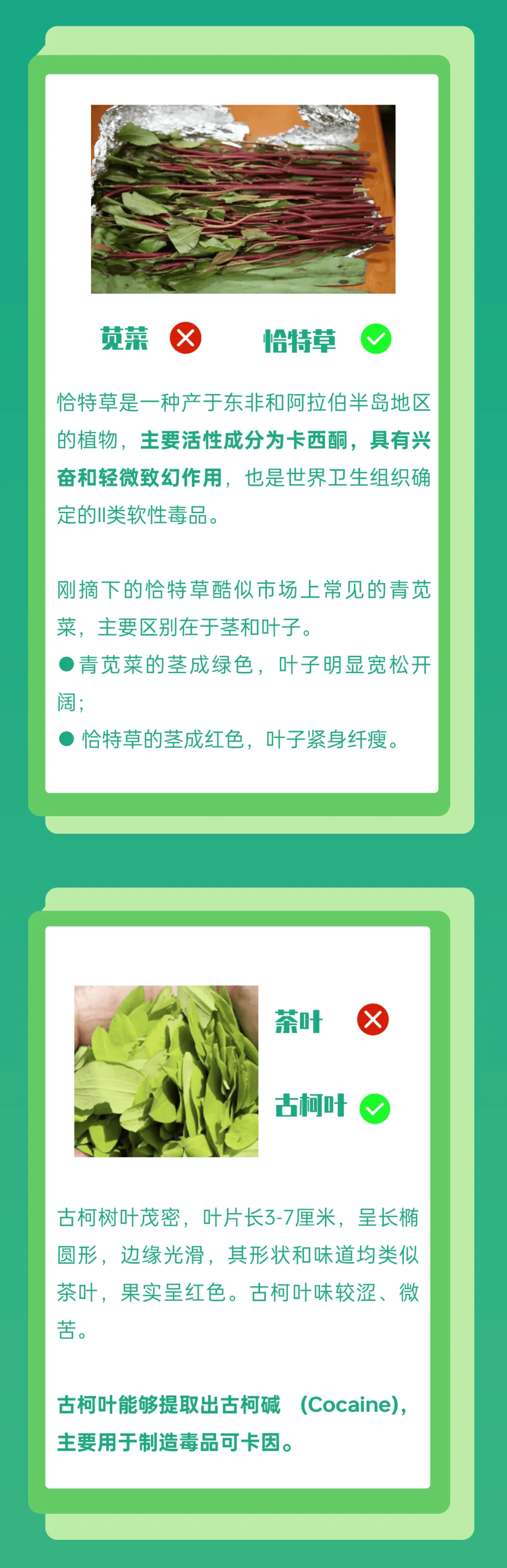 重金属超标!"最毒绿叶菜"竟是它?见到这些"毒"菜要当心!