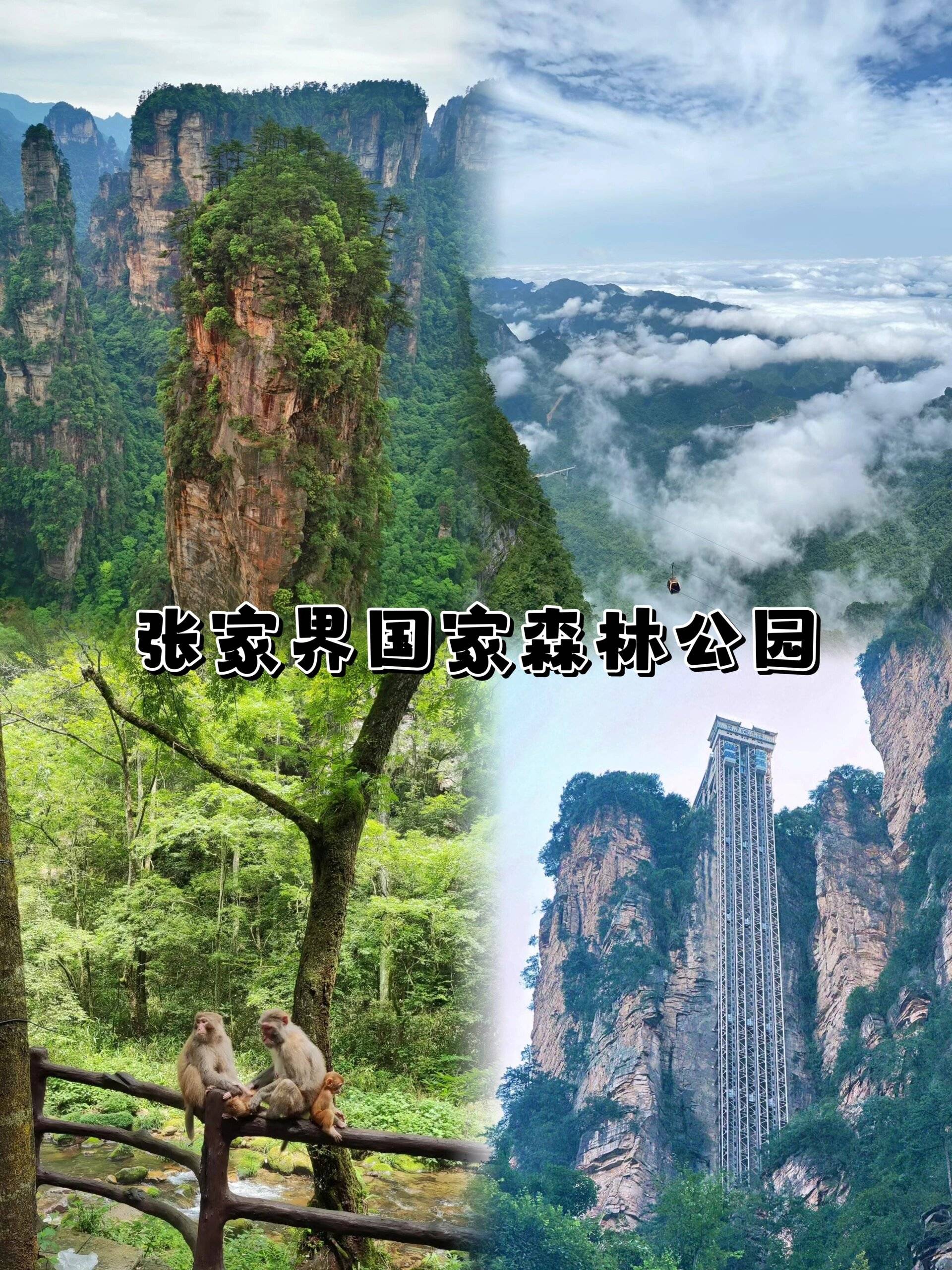 河北到张家界旅游团价格,费用多少 ,看这篇就够了