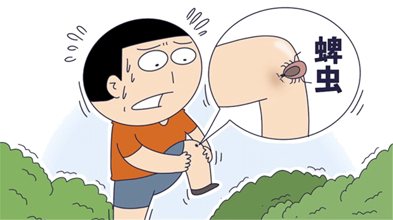 野外活动,几招防范"草爬子"叮咬