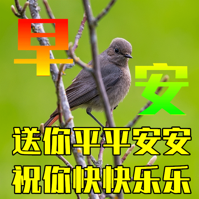 675月10日最漂亮早上好动态表情图片及早晨好动图美图大全 老大说