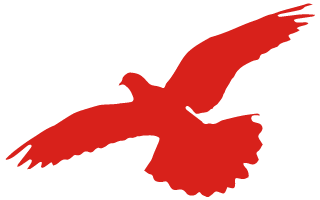 青年红色筑梦之旅专场暨垂直领域创新项目路演第一站福州大学大学生