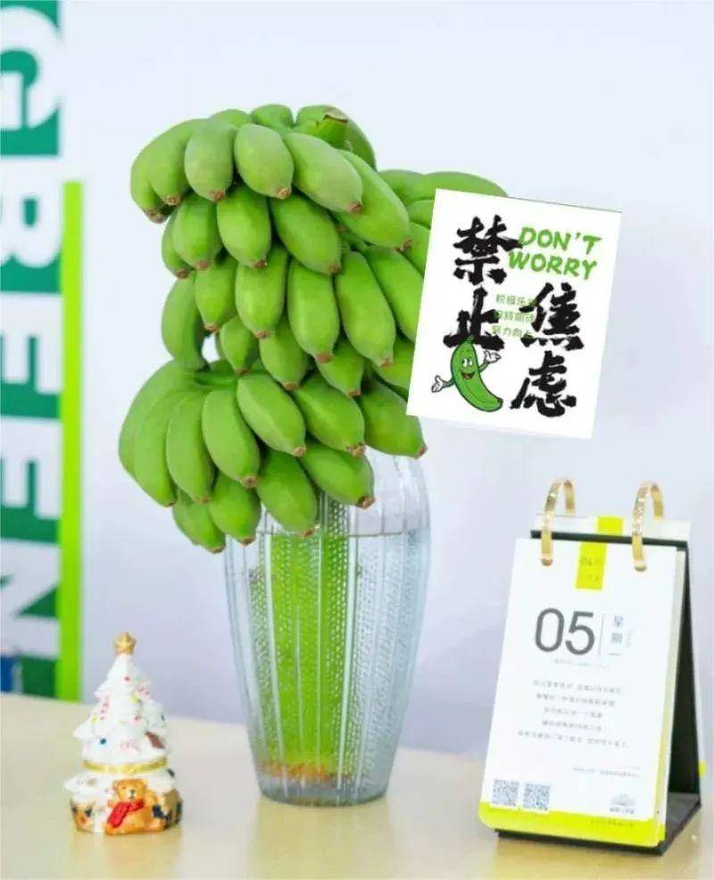 焦虑青年捧火"蕉绿",卖家"日售万单打印机冒烟"_苹果_香蕉_大卫