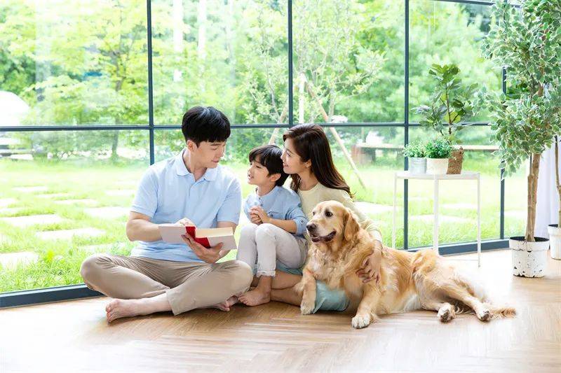 惊人的能量定律：真正拖垮孩子的，是父母的这些黑能量（建议收藏）