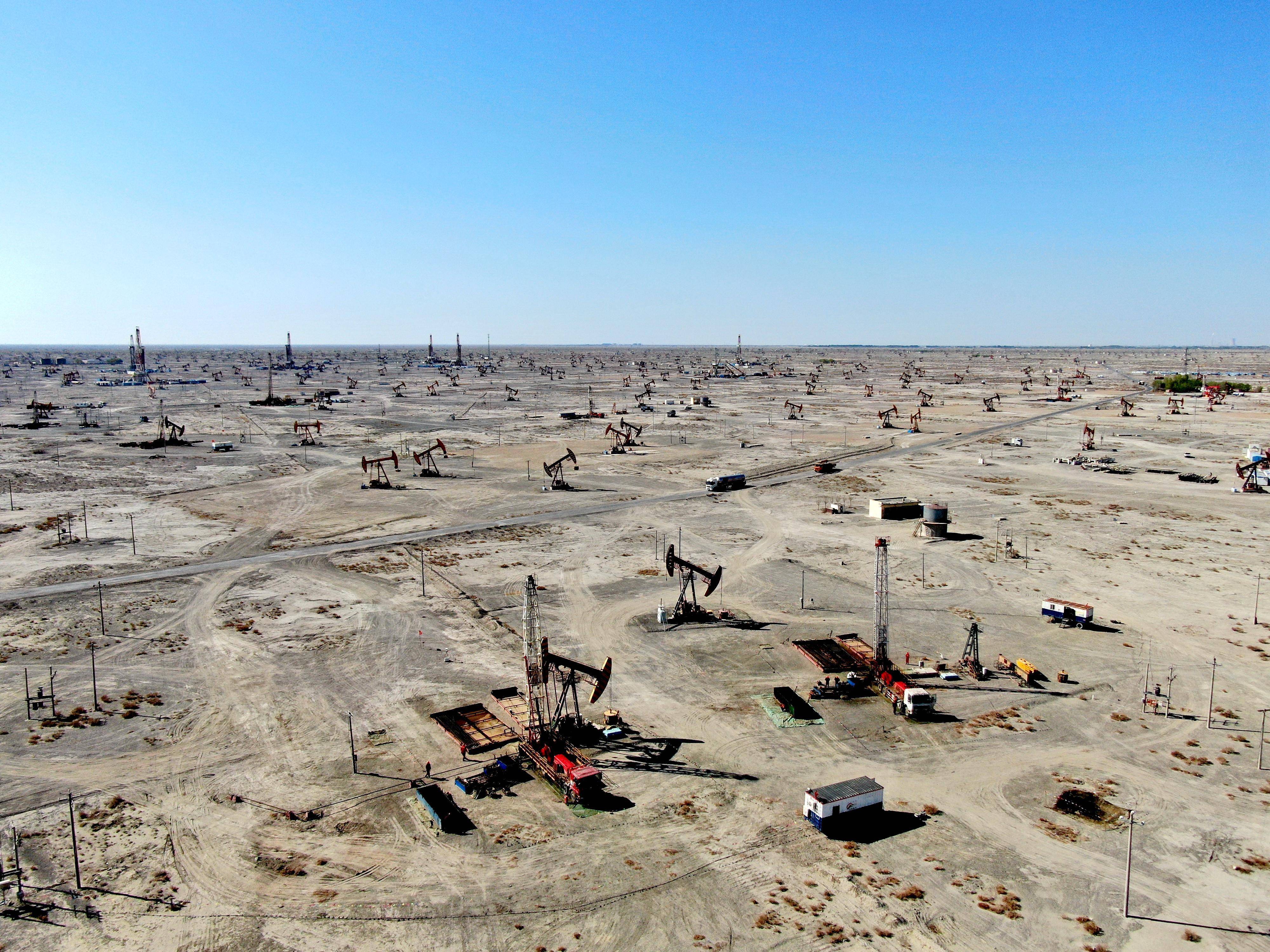 咬定"标准" 建立"标杆"