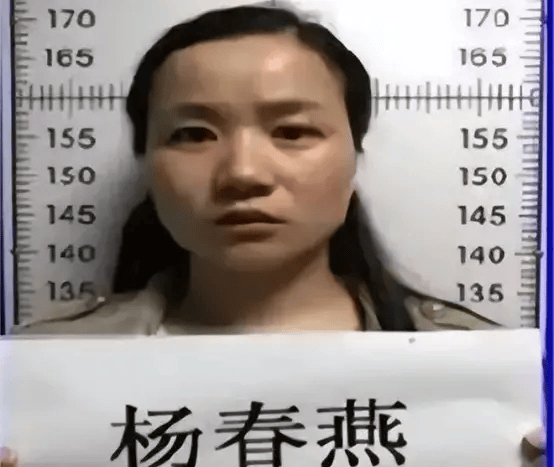 清纯大学生,同学知道她真实身份后,吓得直冒冷汗…_杨春燕_公司_父母
