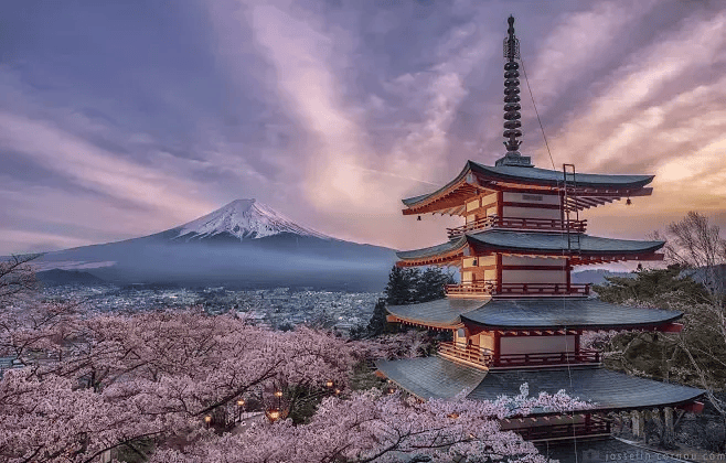 日本金光寺图片