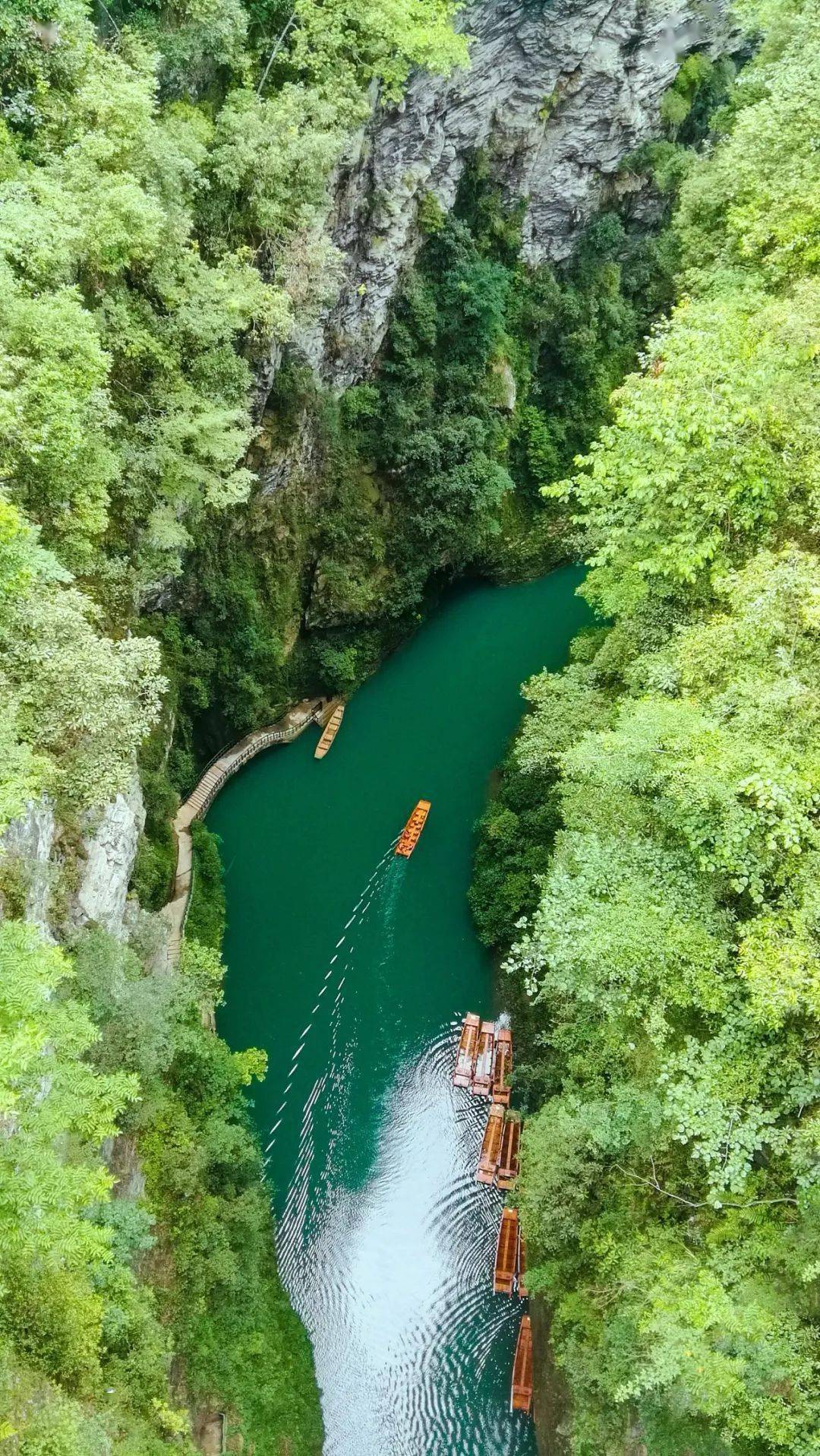 春:鹤峰屏山峡谷到底有什么值得去玩一起来看看恩施这个地方快跟着我