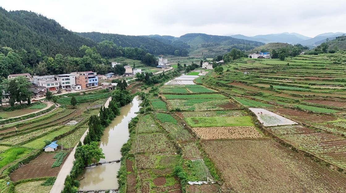 在天星乡地城村马铃薯种植地里,随着工人手起锄落,一个个外观饱满,个