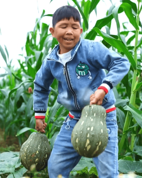 千万网红康仔农人翻车?刀砍莴苣被质太容易,网友:没干过农活吧