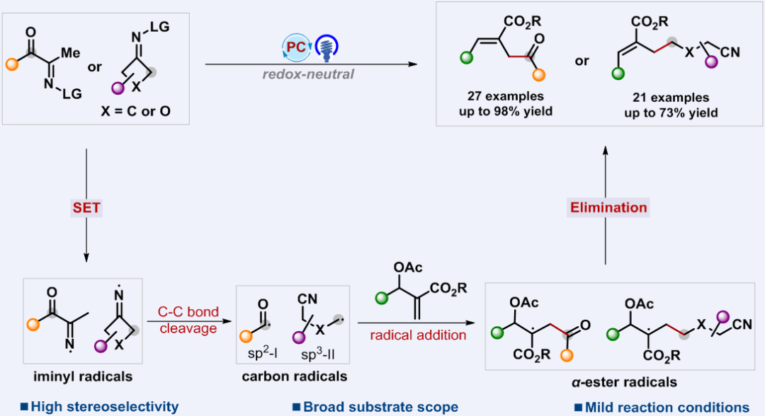 cjc | report:常州大学张跃/严生虎/王佳胤团队:可见光诱导肟酯c-c键