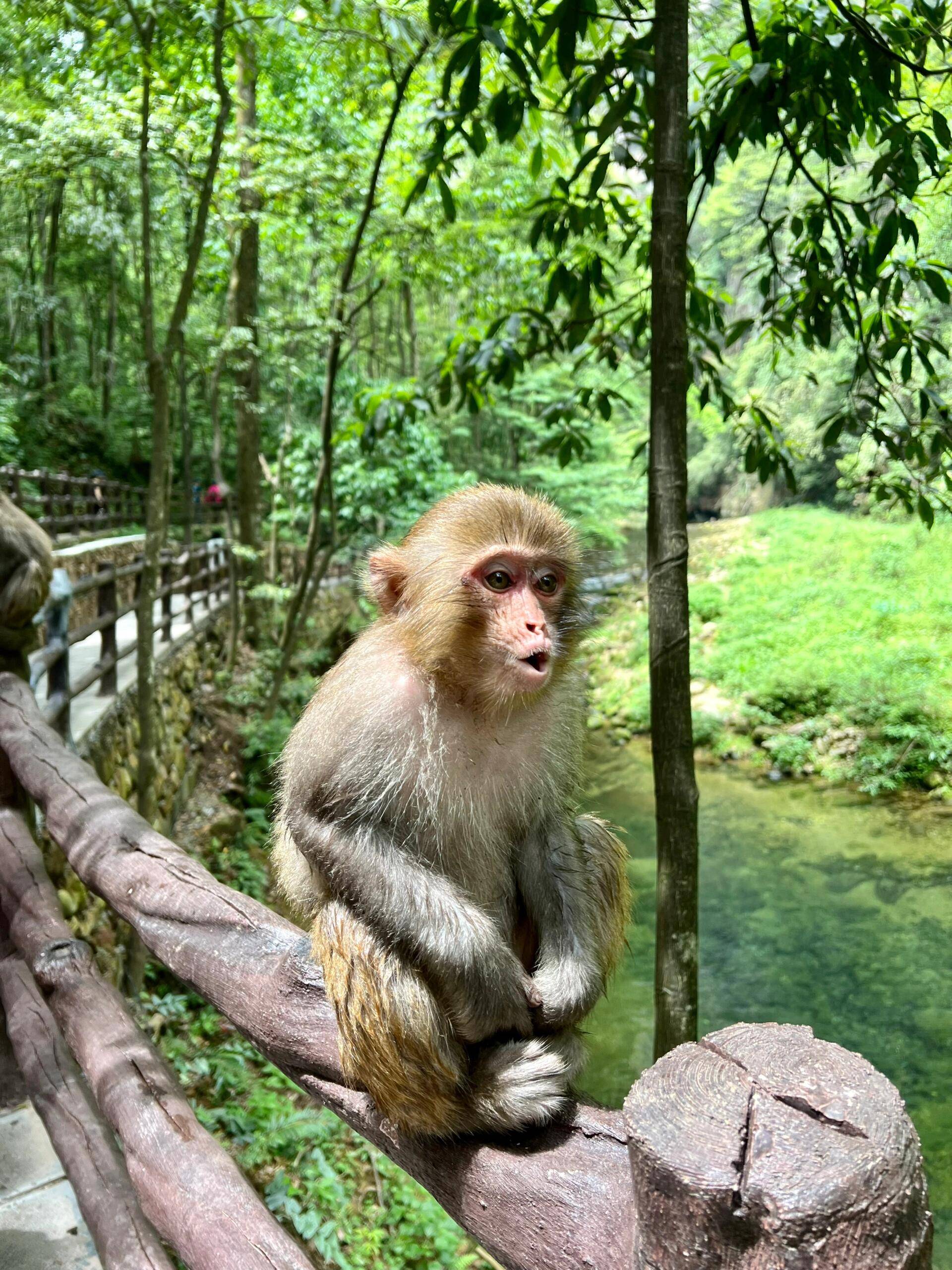 广汉去张家界旅游路线,自由行攻略 ,良心建议攻略!(美食 路线 建议)!