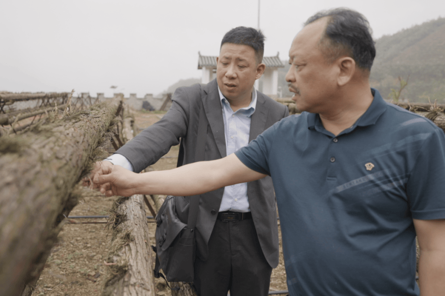 中国农业银行饶才富奖|易小侠:侠之小者 只为星光照泥泞