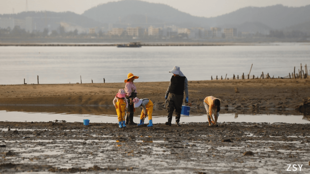 赶海,露营,日落,美食.防城港这些初夏的小美好,值得你来一趟