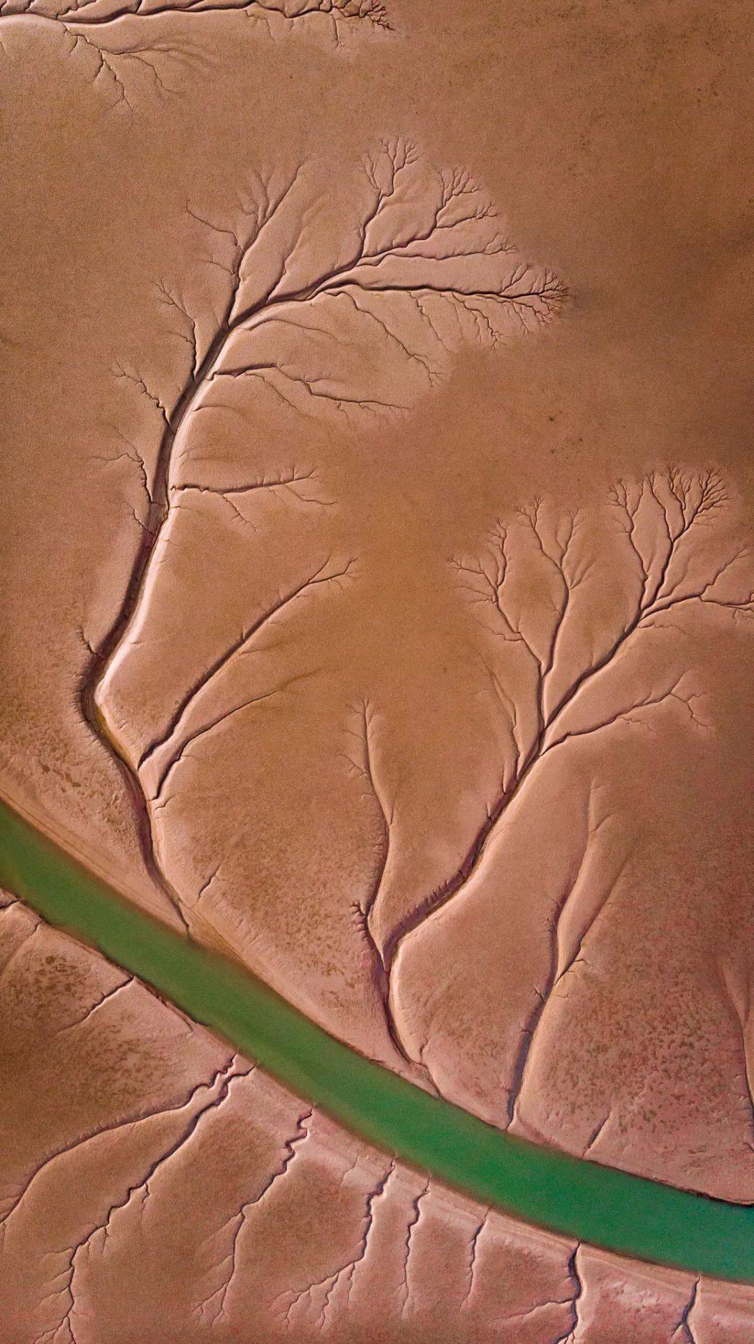 山东,你到"底"能有多好客?