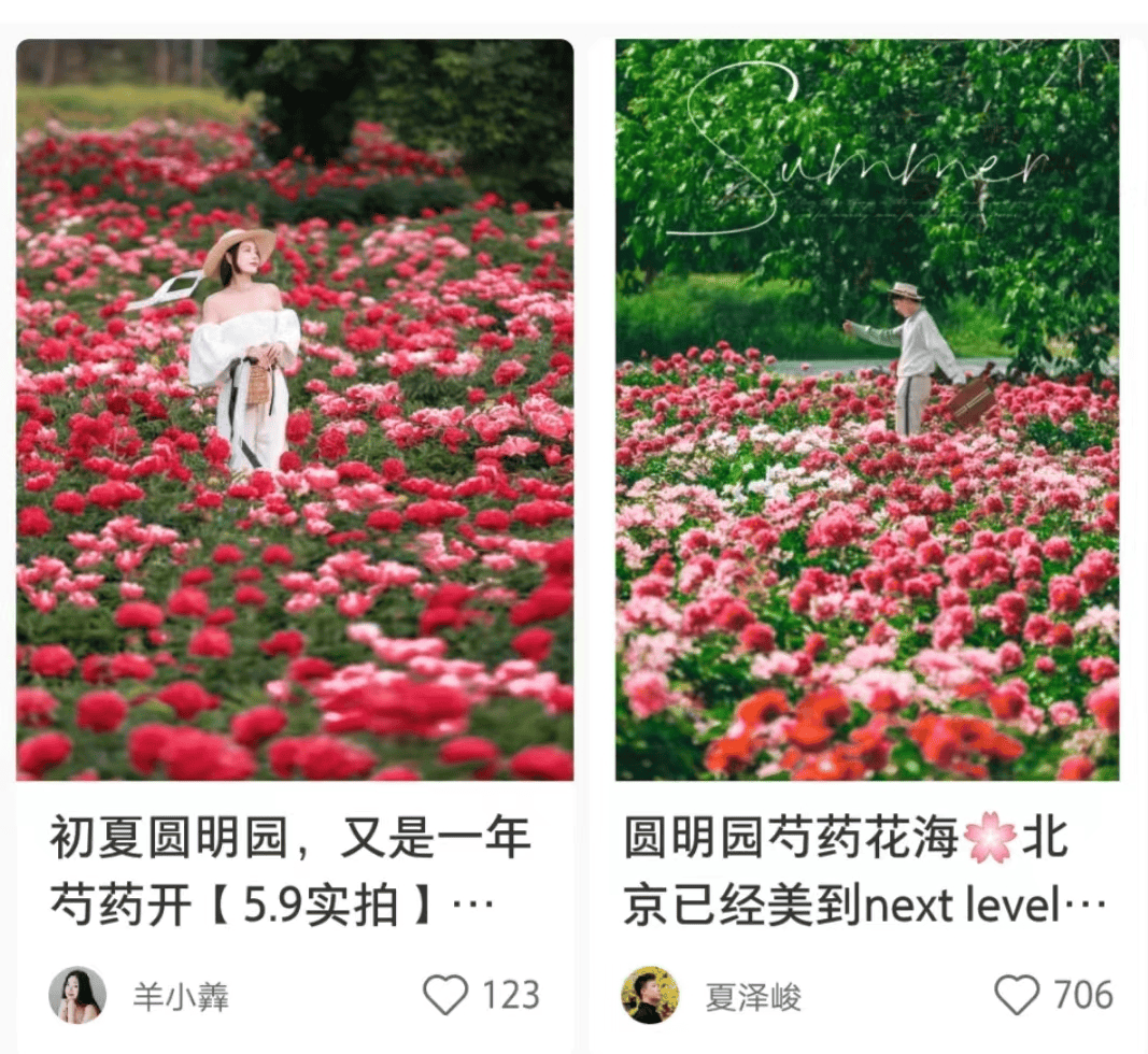 北京"五月花神"花开成海,浪漫如画!快来get你的专属花海大片!