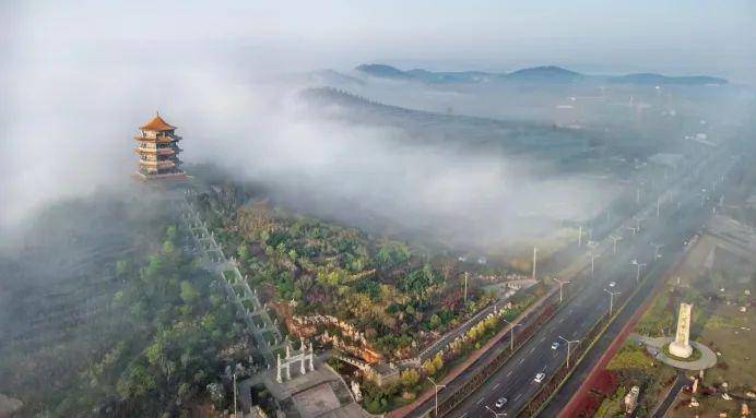 黄河之畔风光好_平阴县_湿地_公园