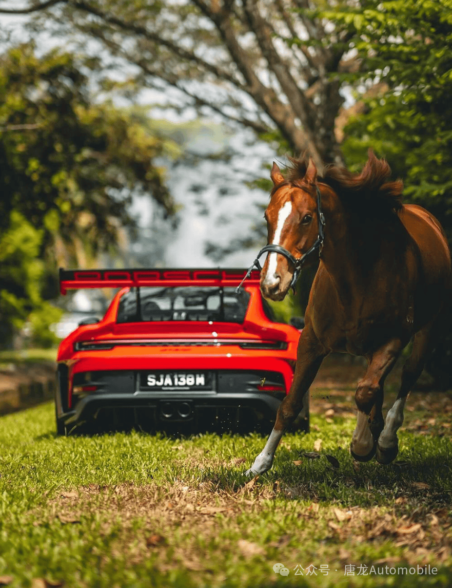 【真马和自吸青蛙的碰撞】保时捷gt3 rs   1 hp 马房与马