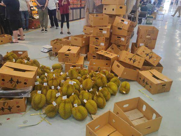 实地调查榴莲价格大跳水,降到"1"字头后还能再降吗?