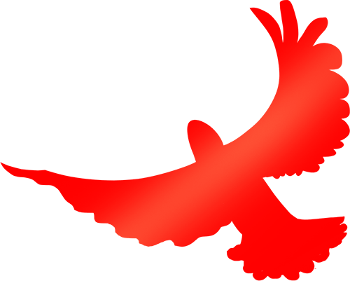 国旗下成长|共筑中国梦,启航向未来