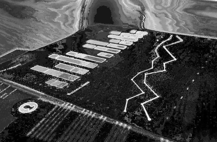 热点追踪 | 减肥药引起华尔街动荡