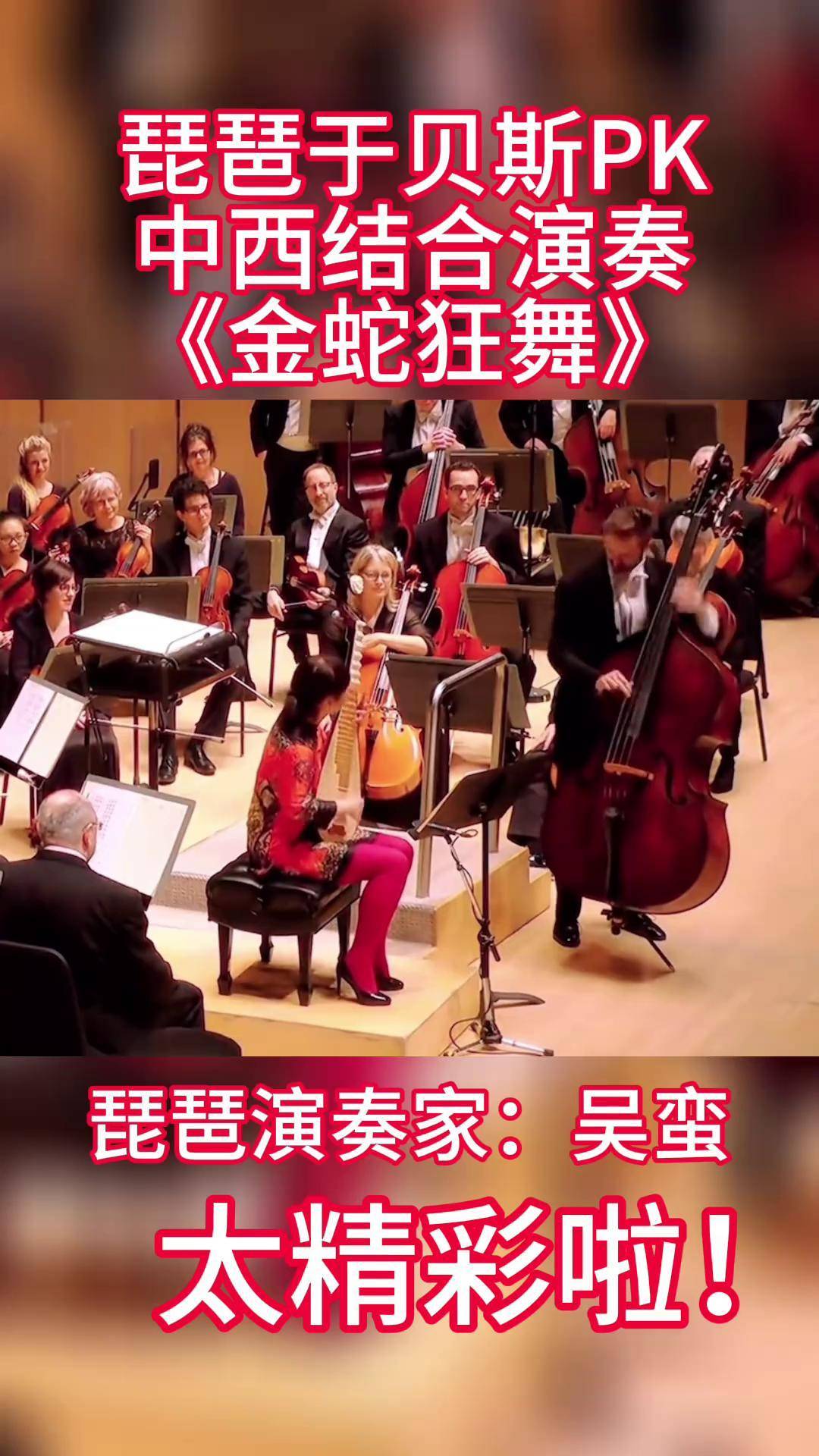 琵琶 与贝斯 pk 中西合作金蛇狂舞 吴蛮琵琶