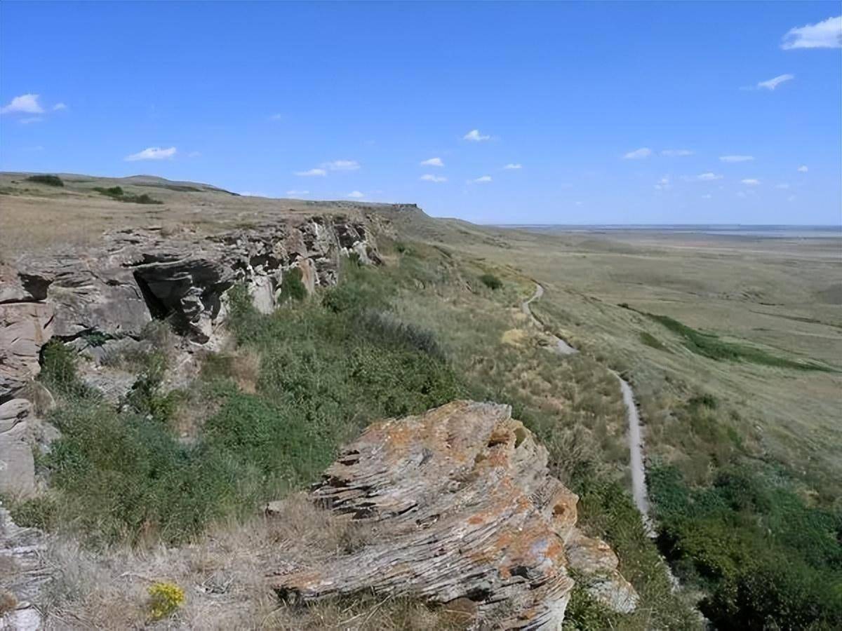 靠猎杀北美巨兽,美国7年买下阿拉斯加州,成"国兽"后还在杀?