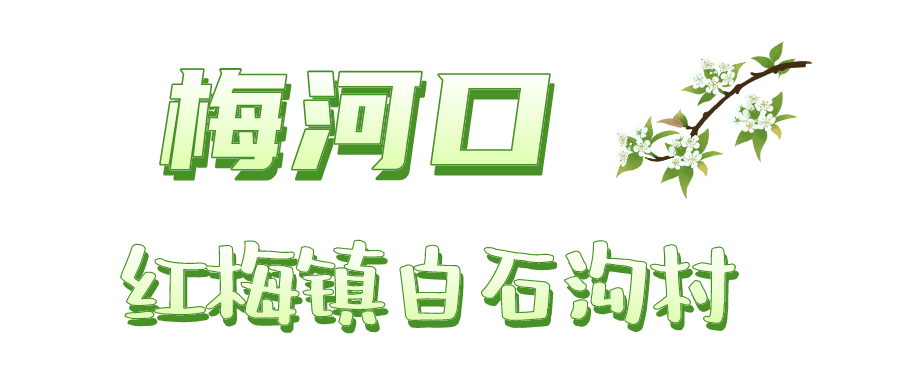 梨醉天下客,花会有缘人这个初夏漫步在梨花园看梅河口红梅镇白石沟村
