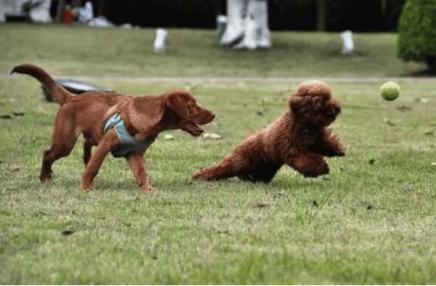 【文化旅游】5·19中国旅游日,伊春放大招啦!