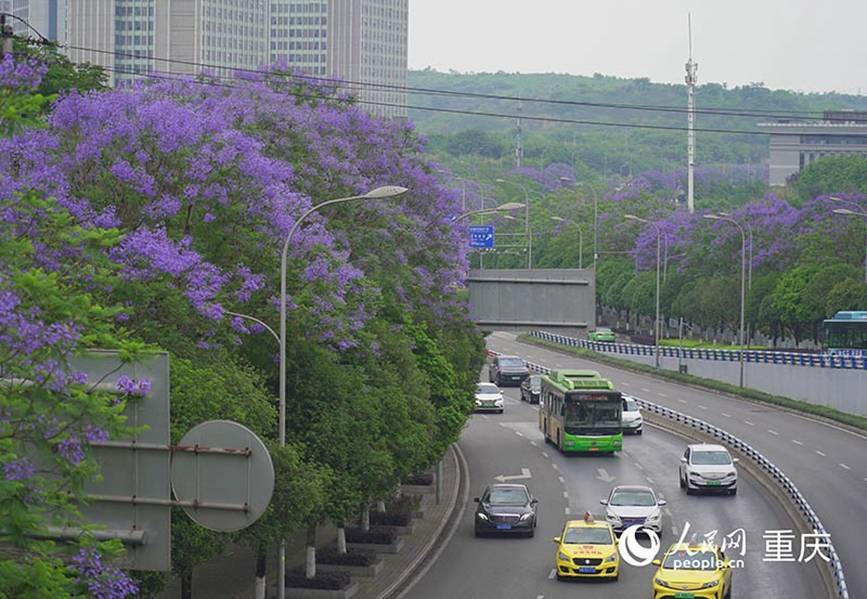 🌸新浪【494949澳门今晚开什么】_江苏足球队魂归来！吉翔租借加盟江苏球队南京城市