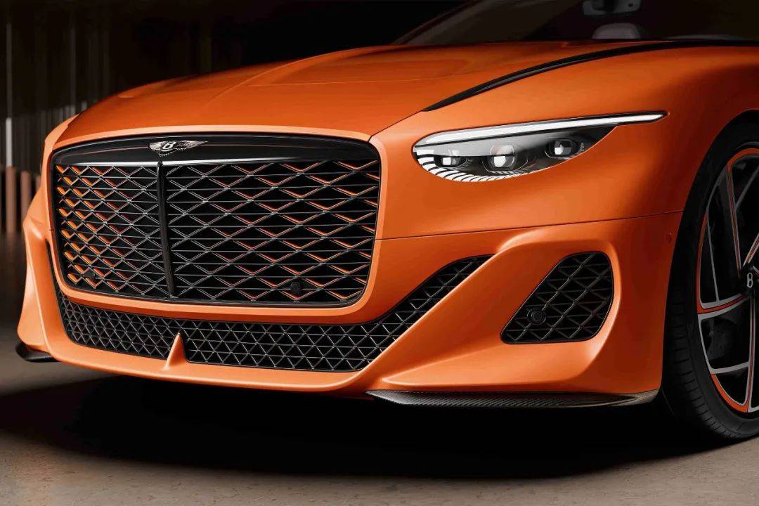 车身前格栅的设计极具艺术美感.