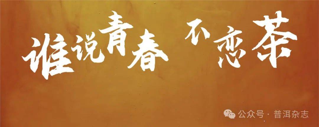 普洱|2024第三届"谁说青春不恋茶"——我们眼中的中国茶,来了!
