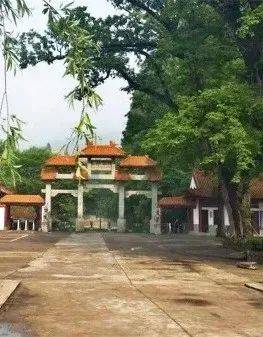 《醉翁亭记》送琅琊山四景点门票4飞越丛林黄线和绿线 文创单色雪糕