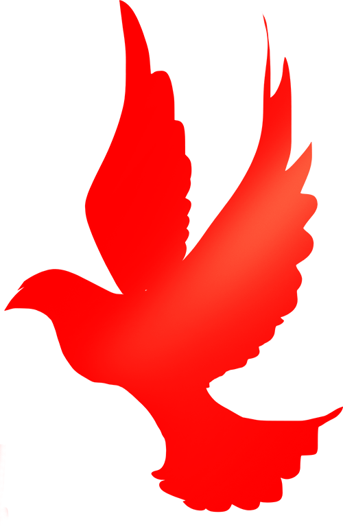 会上副支队长王丰传达了关于《开展全省政府合同履约监管工作的通知》