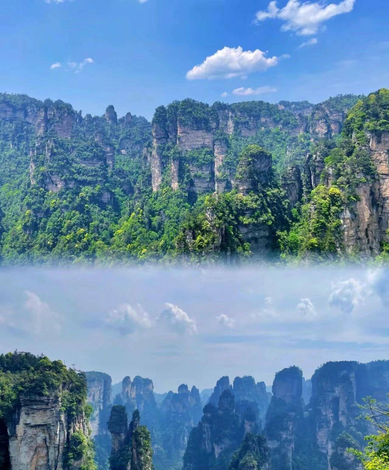 白山至张家界旅游报团价格,团费多少 ,旅游住宿选择攻略