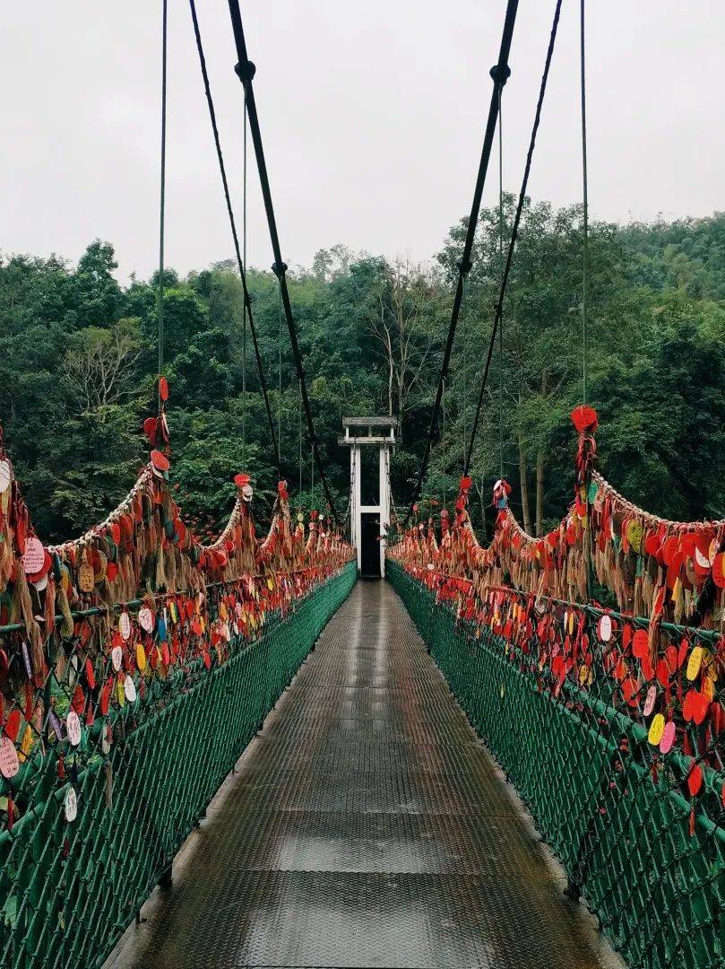 西双版纳_旅游_大自然