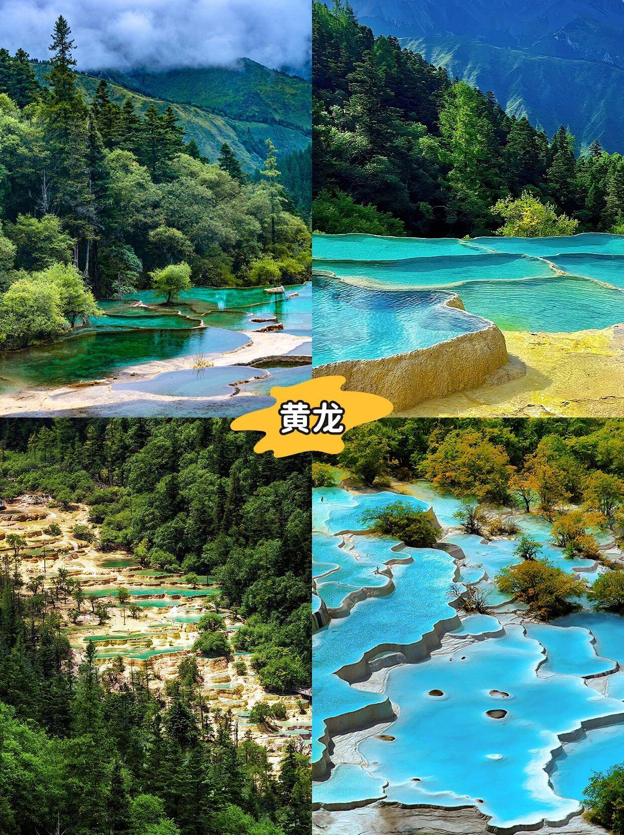 永济去成都旅游报团价格,团费多少 ,史诗级攻略,小白来玩可直接抄的