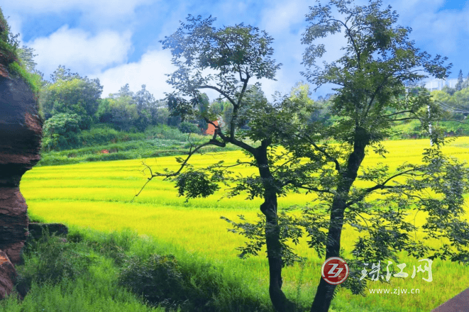 鸡头村街道·八角洞