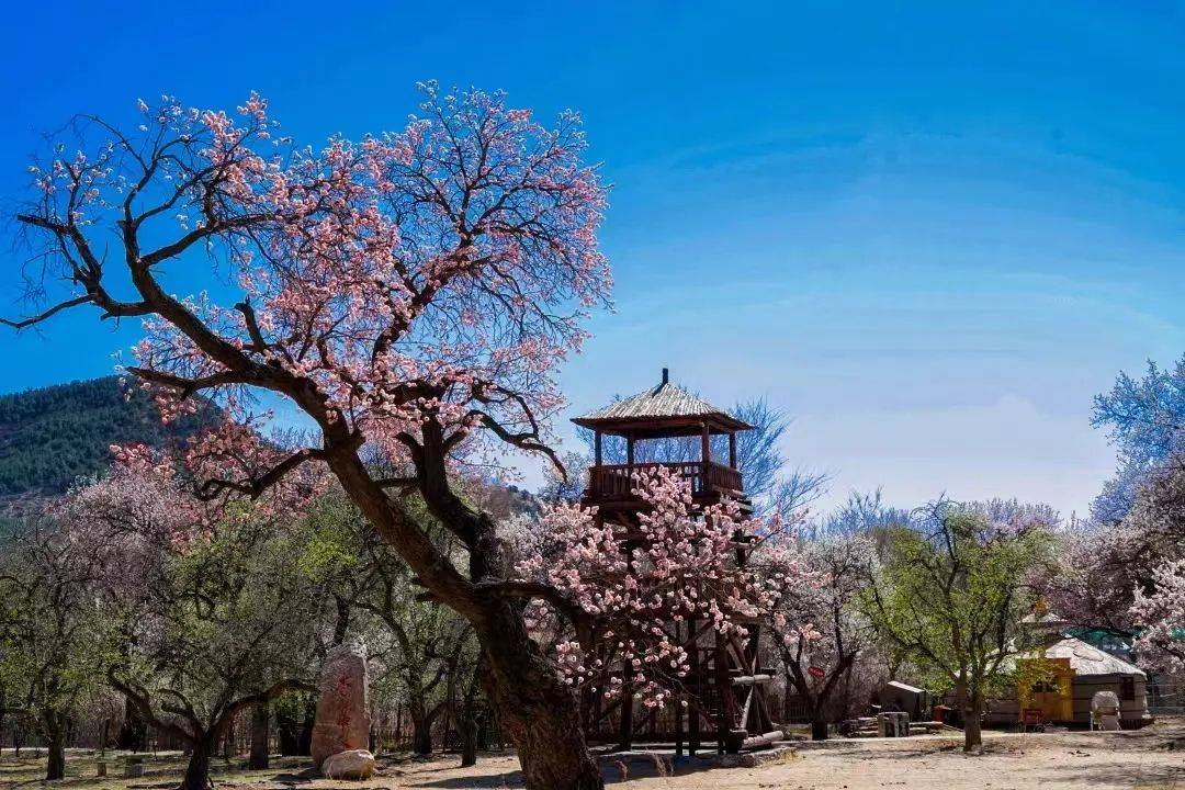 莫尼山景区图片