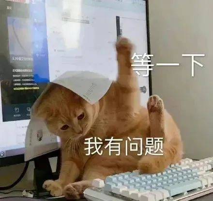 科普 | 最近经常刷到的“猫meme”究竟是什么梗?_语言_何自然_猫猫