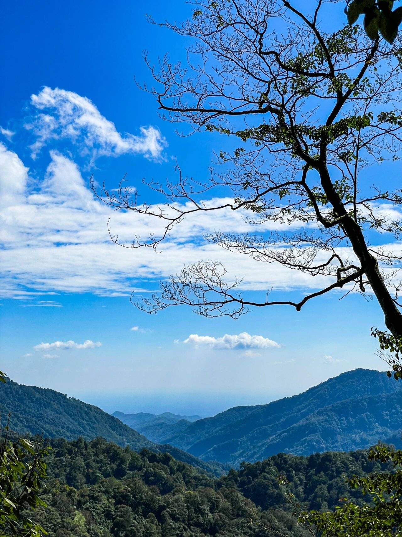 桦甸至成都旅游路线,自由行攻略 ,超详细游玩攻略,人均一千左右!