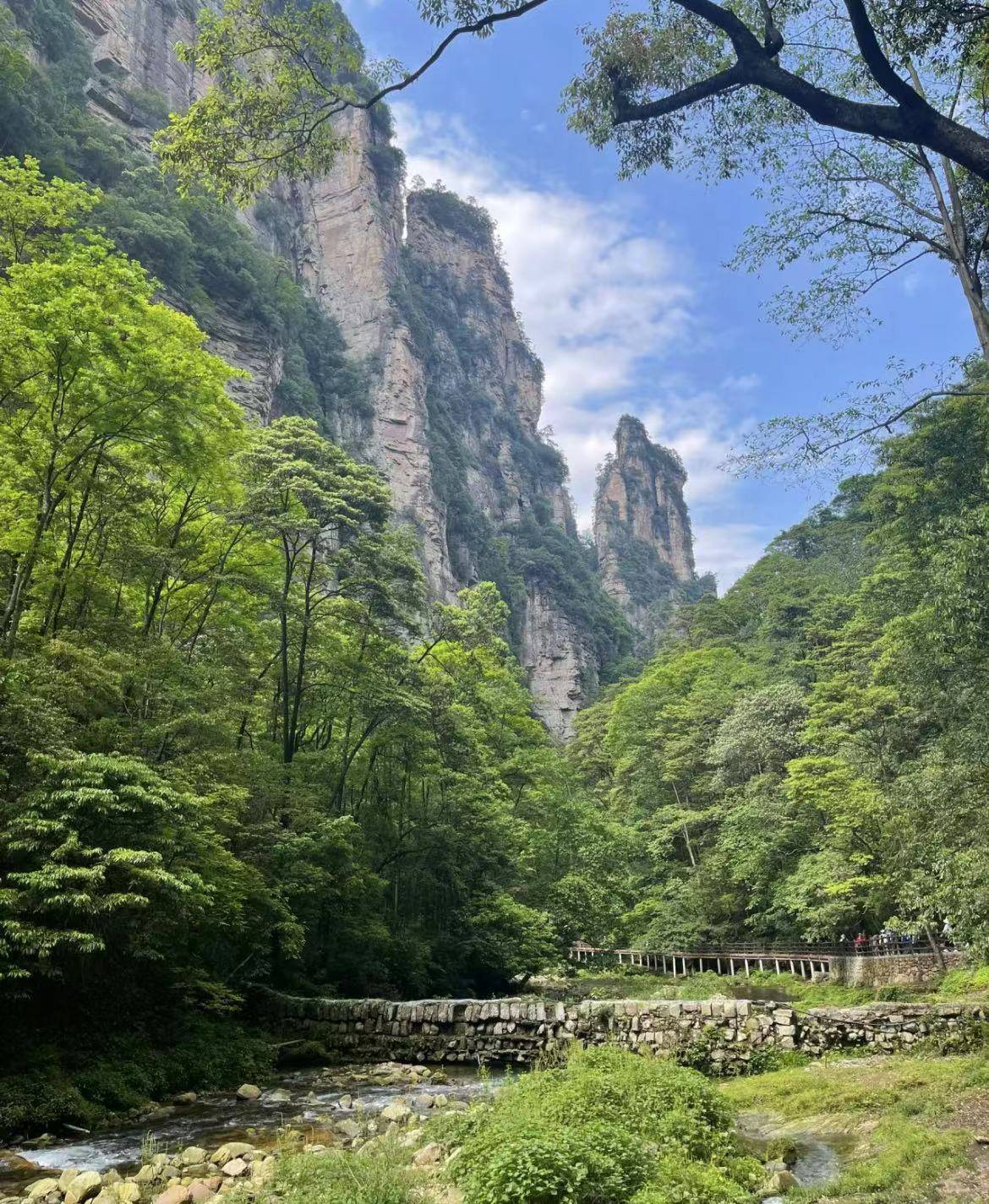 石首去张家界旅游报团价格,团费多少 ,人均1k,本地人都这样玩!