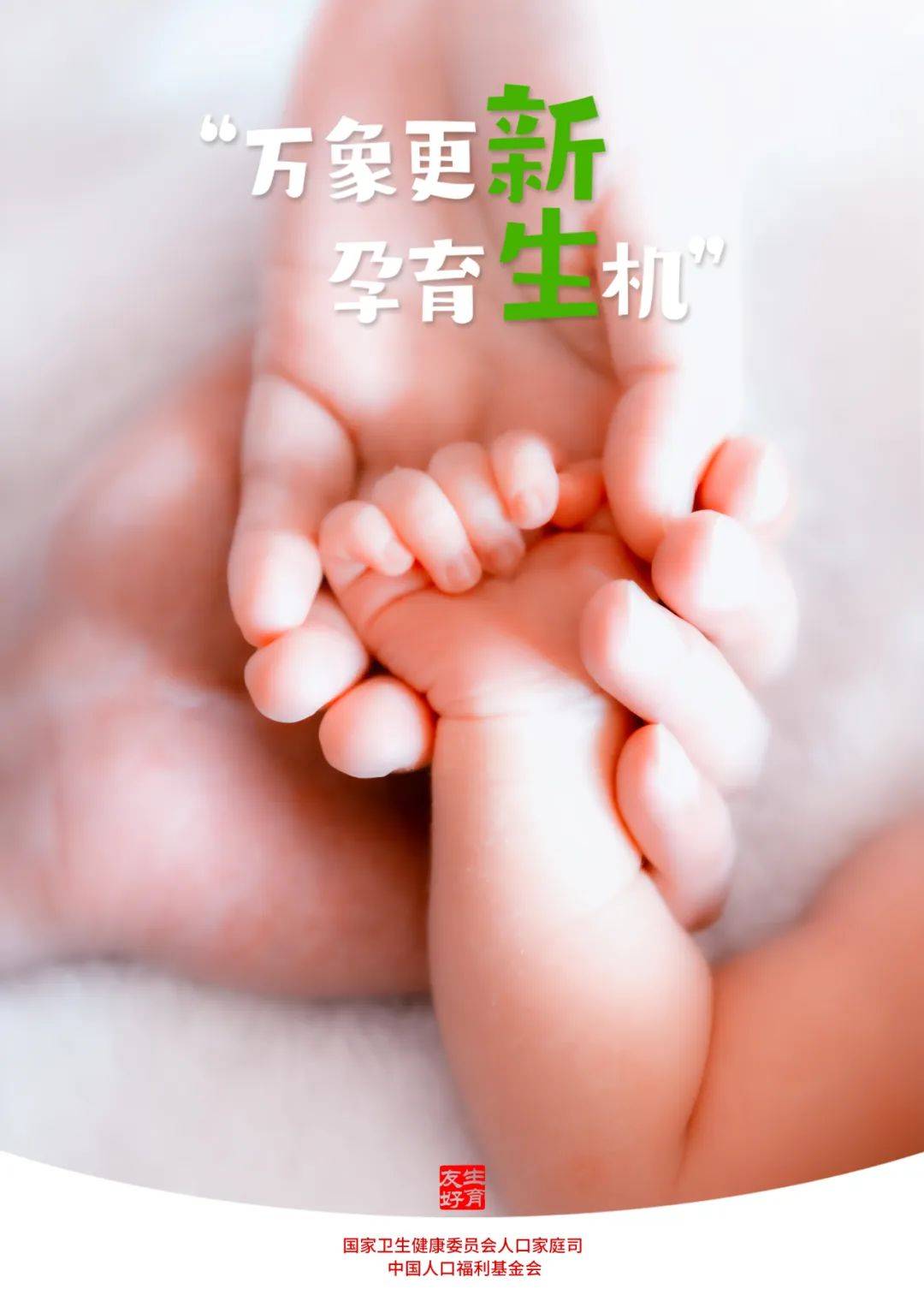 🌸【管家婆一肖一码100%准确】🌸-叮当健康(09886)下跌5.06%，报1.69元/股