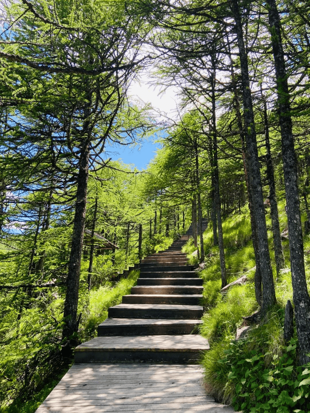 宝鸡_温泉中_美食