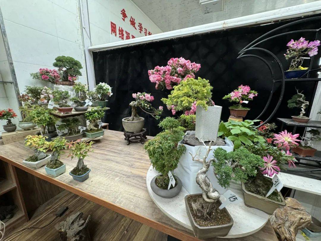 五月,"中国花谷"的邂逅~_萧县_宿州_吴印咸