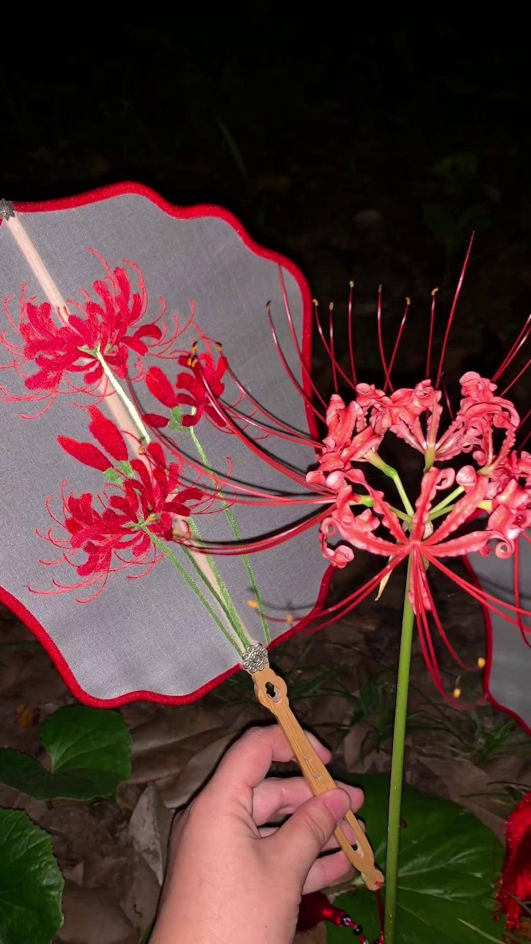 彼岸花开开彼岸,遥望相隔两无岸曼珠沙华彼岸花 苏绣 团扇