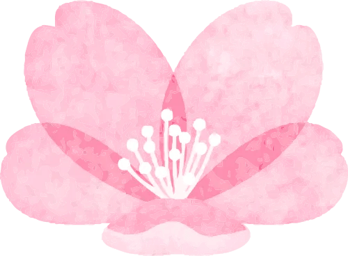 孩子的人生起点,不该是单调的色彩和既定的路径