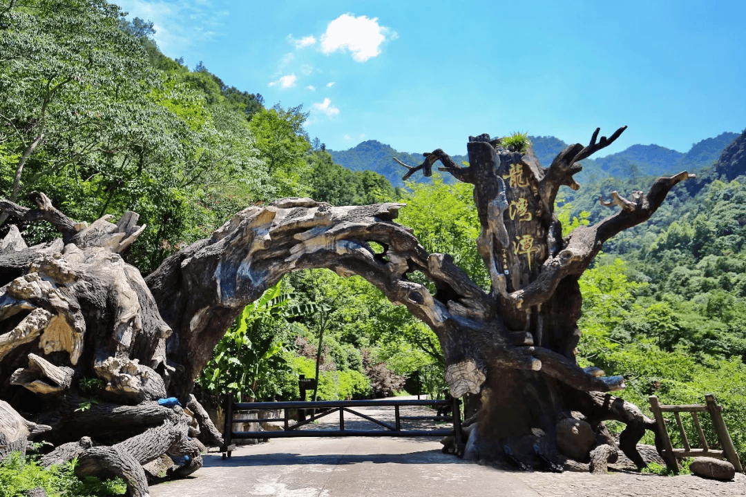 倒计时2天,5月18日-19日,浙江青少年街舞挑战赛在这里举行!
