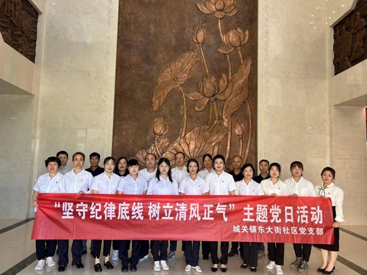 凤翔区城关镇东大街社区开展"坚守纪律底线 树立清风正气"主题党日